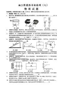 安徽省六安市皋城中学2023-2024学年九年级下学期2月月考物理试题