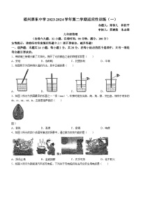 福建省福州屏东中学2023-2024学年九年级下学期开学考试物理试题(无答案)