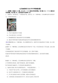 山东省威海市2023年中考物理试题（附真题解析）