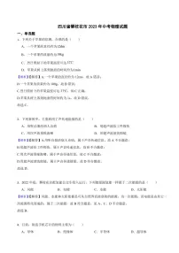 四川省攀枝花市2023年中考物理试题（附真题解析）