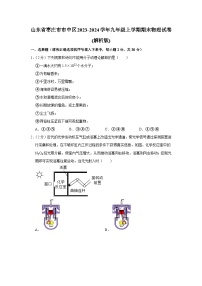 山东省枣庄市市中区2023-2024学年九年级上学期期末物理试卷