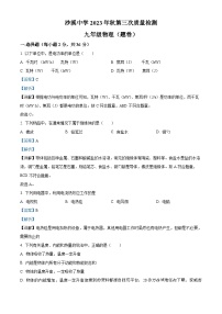 12，四川省巴中市通江县沙溪初级中学2023-2024学年九年级上学期第三次月考物理试题