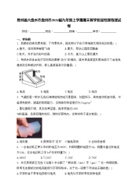 贵州省六盘水市盘州市2024届九年级上学期期末教学质量检测物理试卷(含答案)