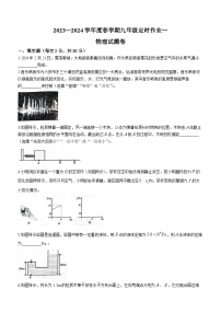 安徽省六安市2023-2024学年九年级下学期开学测评物理试题()