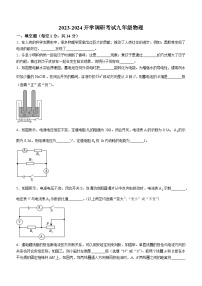 河南省信阳市罗山县实验中学2023-2024学年九年级下学期开学物理试题()