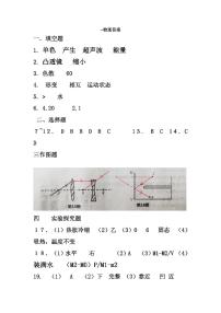 河南省驻马店市上蔡县上蔡县第一初级中学2023-2024学年八年级下学期开学物理试题(1)