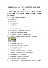 湖南省益阳市2023-2024学年九年级上学期期末物理试卷