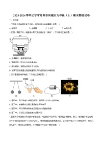 2023-2024学年辽宁省丹东市凤城市九年级（上）期末物理试卷（含解析）