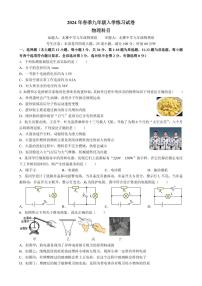 湖南省长沙市北雅中学2023-2024学年九年级下学期入学考物理试卷