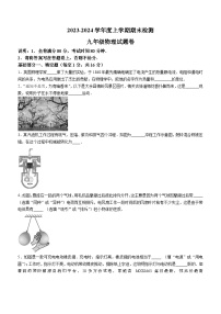 江西省赣州市大余县2023-2024学年九年级上学期期末检测物理试题