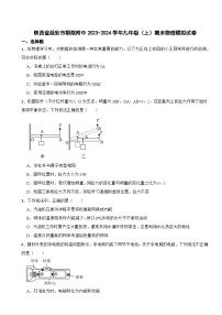 陕西省延安市职院附中2023-2024学年九年级（上）期末物理模拟试卷