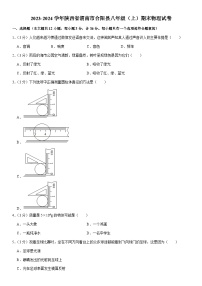 陕西省渭南市合阳县2023-2024学年八年级上学期期末物理试卷