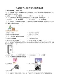 吉林省长春市榆树市八号镇中学2022-2023学年八年级下学期6月月考物理试题