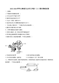 2023-2024学年云南省文山州九年级（上）期末物理试卷（含解析）