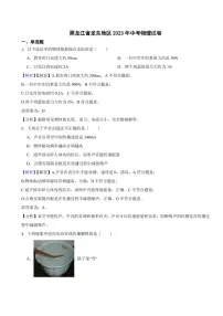 黑龙江省龙东地区2023年中考物理试题（附真题解析）