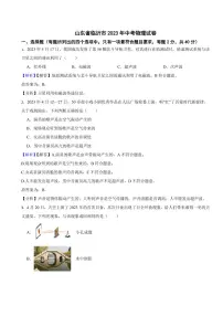 山东省临沂市2023年中考物理试题（附真题解析）