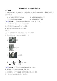 湖南省衡阳市2023年中考物理试题（附真题解析）