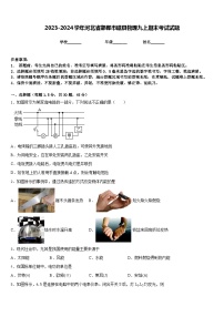 75，河北省邯郸市磁县2023-2024学年九年级上学期期末考试物理试题