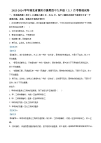 湖北省襄阳市襄樊第四中学2023-2024学年九年级上学期月考物理试题