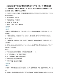 湖北省襄阳市襄樊第四中学2023-2024学年九年级上学期月考物理试题