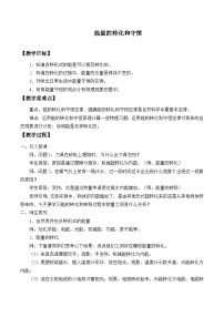 鲁教版 (五四制)九年级下册第六节 能量的转化和守恒教案