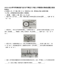 2022-2023学年河南省驻马店市平舆县八年级上学期期末物理试题及答案