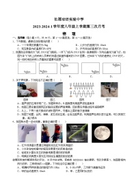 19，湖南省长沙市长郡双语实验中学2023-2024学年八年级上学期第三次月考物理试题