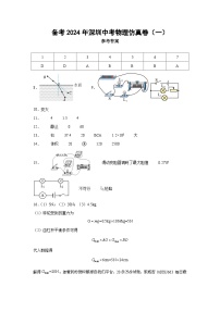 407，2024年广东省深圳市中考物理仿真卷（一）(1)