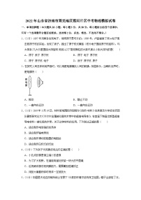 2022年山东省济南市莱芜地区莲河片区中考物理模拟试卷