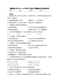 湖南省长沙市2023-2024学年八年级上学期期中考试物理试卷(含答案)