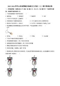 山东省聊城市临清市2023-2024学年九年级上学期期中物理试题（原卷版+解析版）