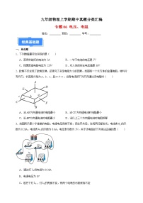 专题06 电压、电阻-九年级物理上学期期中真题分类汇编