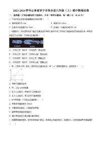 山东省济宁市鱼台县2023-2024学年八年级上学期期中考试物理试题（原卷版+解析版）