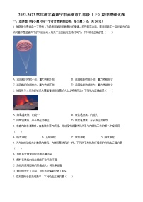 湖北省咸宁市赤壁市2022-2023学年九年级上学期期中物理试题（原卷版+解析版）