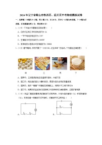 2024年辽宁省鞍山市铁西区、经开区中考物理模拟试卷