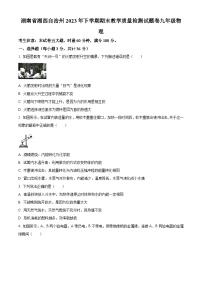 湖南省湘西州2023-2024学年九年级上学期期末教学质量检测物理试题（原卷版+解析版）