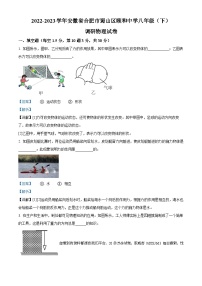 安徽省合肥市蜀山区颐和中学2022-2023学年八年级下学期月考调研物理试题
