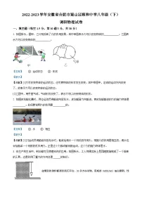 安徽省合肥市蜀山区颐和中学2022-2023学年八年级下学期月考调研物理试题