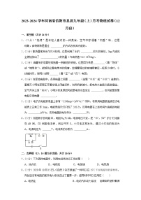 河南省信阳市息县2023-2024学年九年级上学期月考物理试卷（12月份）