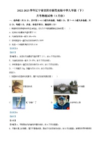 辽宁省沈阳市新民实验中学2022-2023学年九年级下学期3月月考物理试题