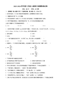 湖南省岳阳市2023-2024学年八年级上学期期中物理试题（原卷版+解析版）