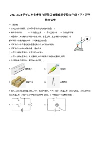 2023-2024学年山东省青岛市即墨区德馨珑湖学校九年级（下）开学物理试卷（含解析）