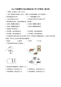 2024年新疆喀什地区疏勒实验中学中考物理二模试卷（含解析）