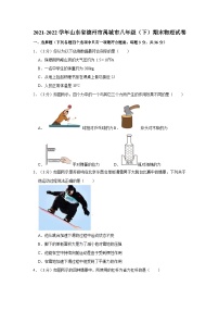2021-2022学年山东省德州市禹城市八年级（下）期末物理试卷