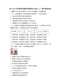 2021-2022学年陕西省商洛市商南县九年级（上）期中物理试卷