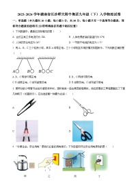 湖南省长沙师大附中集团2023-2024学年九年级下学期入学考试物理试题（原卷版+解析版）