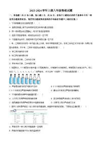 四川省凉山州宁南县2023-2024学年八年级上学期期末考试物理试题（原卷版+解析版）