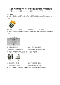 广东省广州市增城区2023-2024学年八年级上学期期末考试物理试卷(含答案)