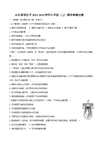 山东省枣庄市2023-2024学年九年级上学期期末物理试卷