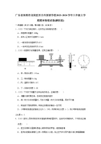 广东省深圳市龙岗区百合外国语学校2023-2024学年八年级上学期期末物理试卷